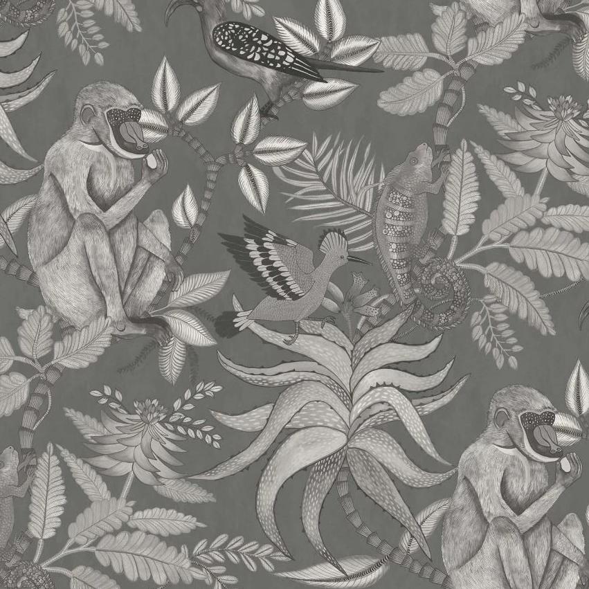 Cole & Son Ardmore Savuti Wallpaper 6 Colours - Gaudion Furniture