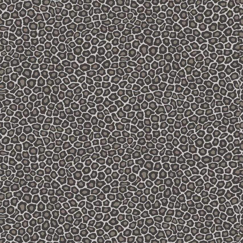 Cole & Son Ardmore Senzo Spot Wallpaper 6 Colours - Gaudion Furniture