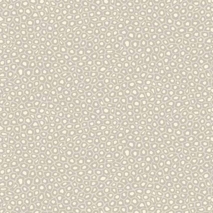 Cole & Son Ardmore Senzo Spot Wallpaper 6 Colours - Gaudion Furniture