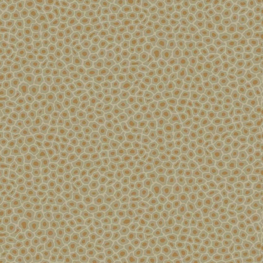 Cole & Son Ardmore Senzo Spot Wallpaper 6 Colours - Gaudion Furniture