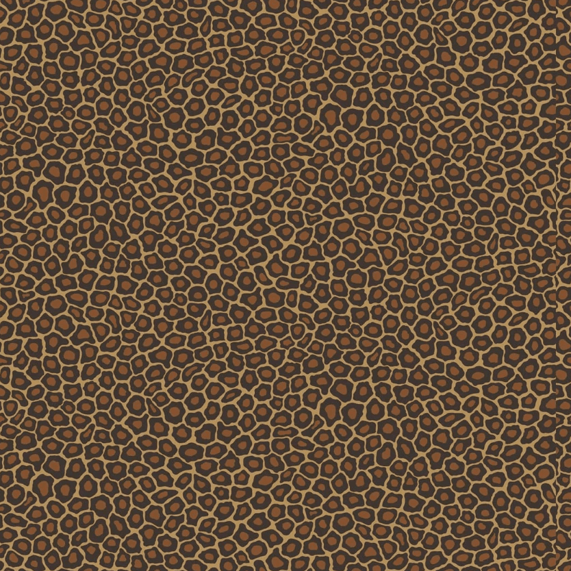 Cole & Son Ardmore Senzo Spot Wallpaper 6 Colours - Gaudion Furniture