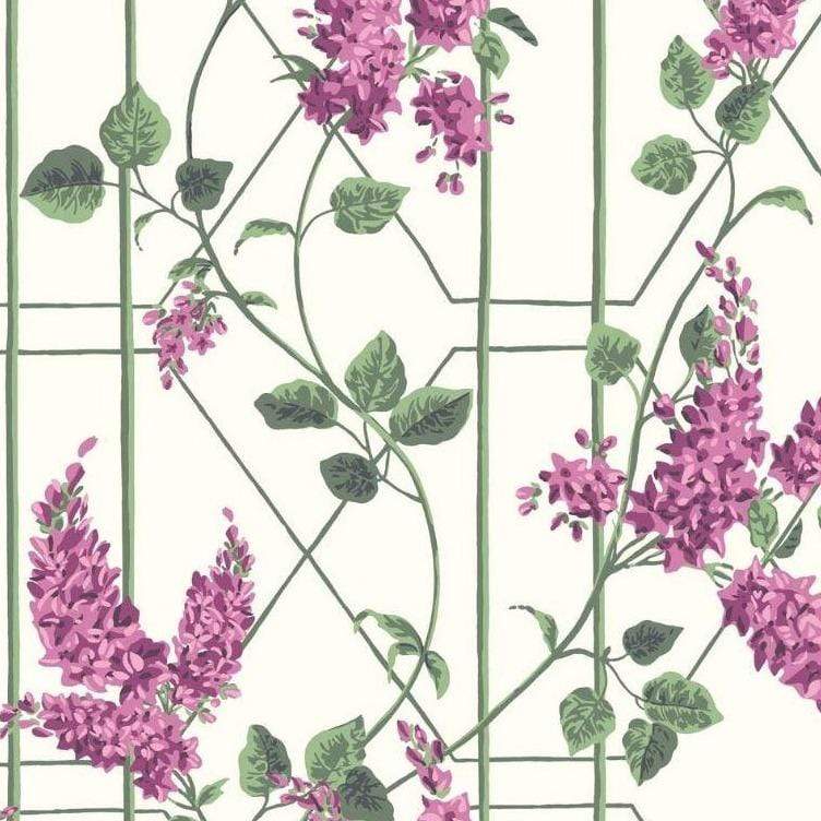 Cole & Son Botanical Botanica Wisteria Wallpaper 5 colours - Gaudion Furniture
