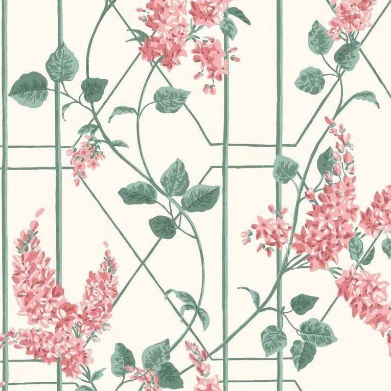 Cole & Son Botanical Botanica Wisteria Wallpaper 5 colours - Gaudion Furniture