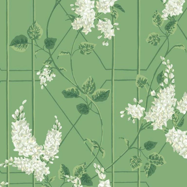 Cole & Son Botanical Botanica Wisteria Wallpaper 5 colours - Gaudion Furniture