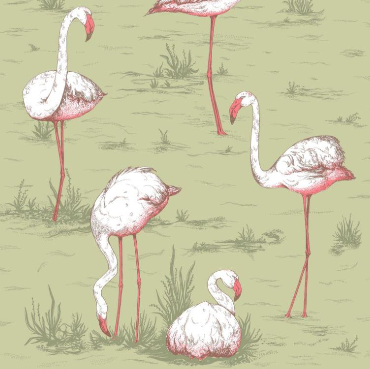 Cole & Son Flamingos Wallpaper 6 Colours - Gaudion Furniture