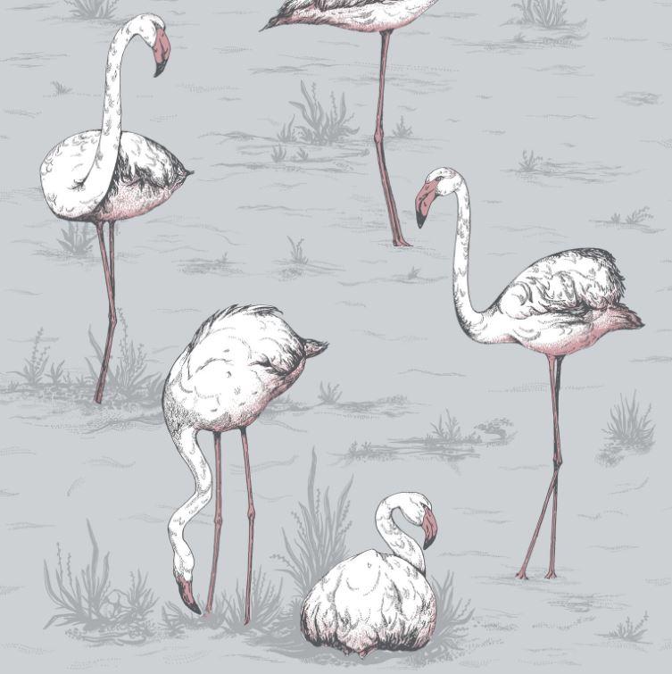 Cole & Son Flamingos Wallpaper 6 Colours - Gaudion Furniture