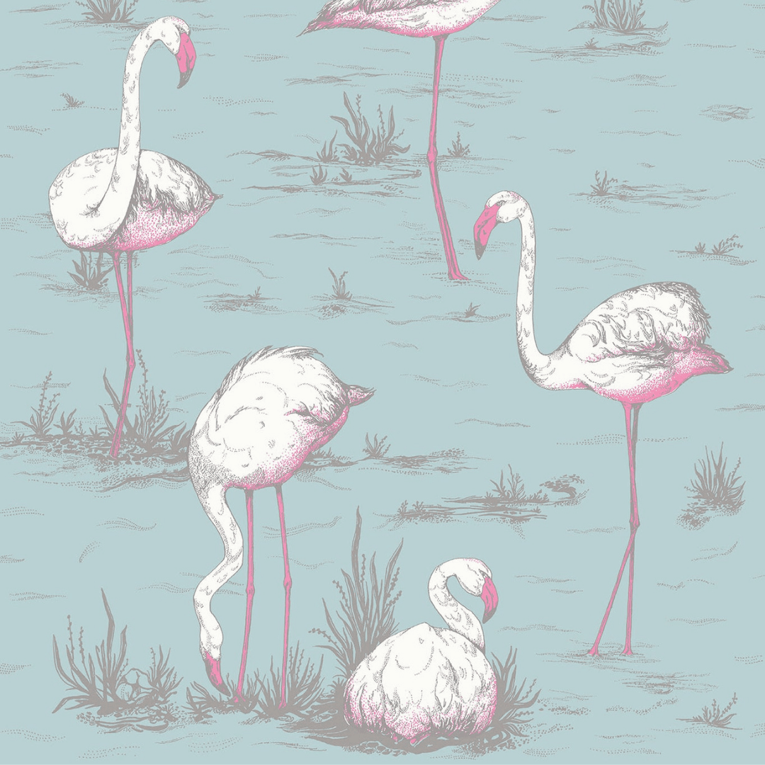 Cole & Son Flamingos Wallpaper 6 Colours - Gaudion Furniture