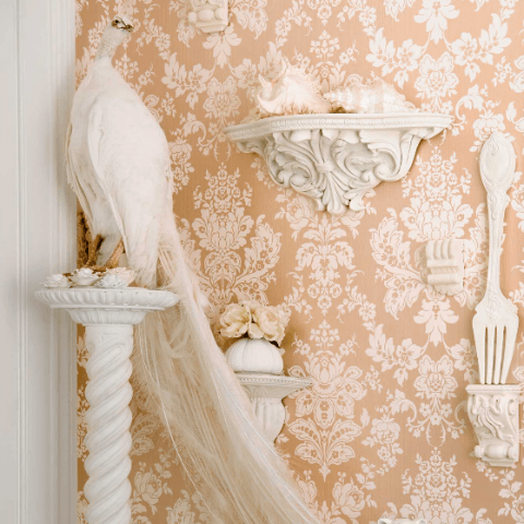 Cole & Son Giselle Wallpaper 9 Colours - Gaudion Furniture