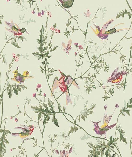 Cole & Son Hummingbirds Wallpaper 9 Colours - Gaudion Furniture