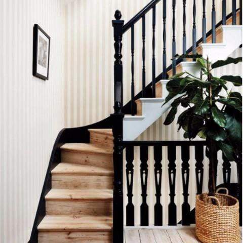 Cole & Son Marquee Stripes Regatta Stripe Wallpaper 5 Colours - Gaudion Furniture