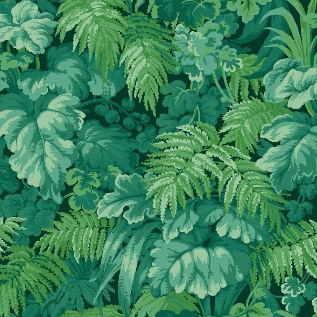 Cole & Son Martyn Lawrence Bullard Royal Fernery Wallpaper 4 Colours - Gaudion Furniture