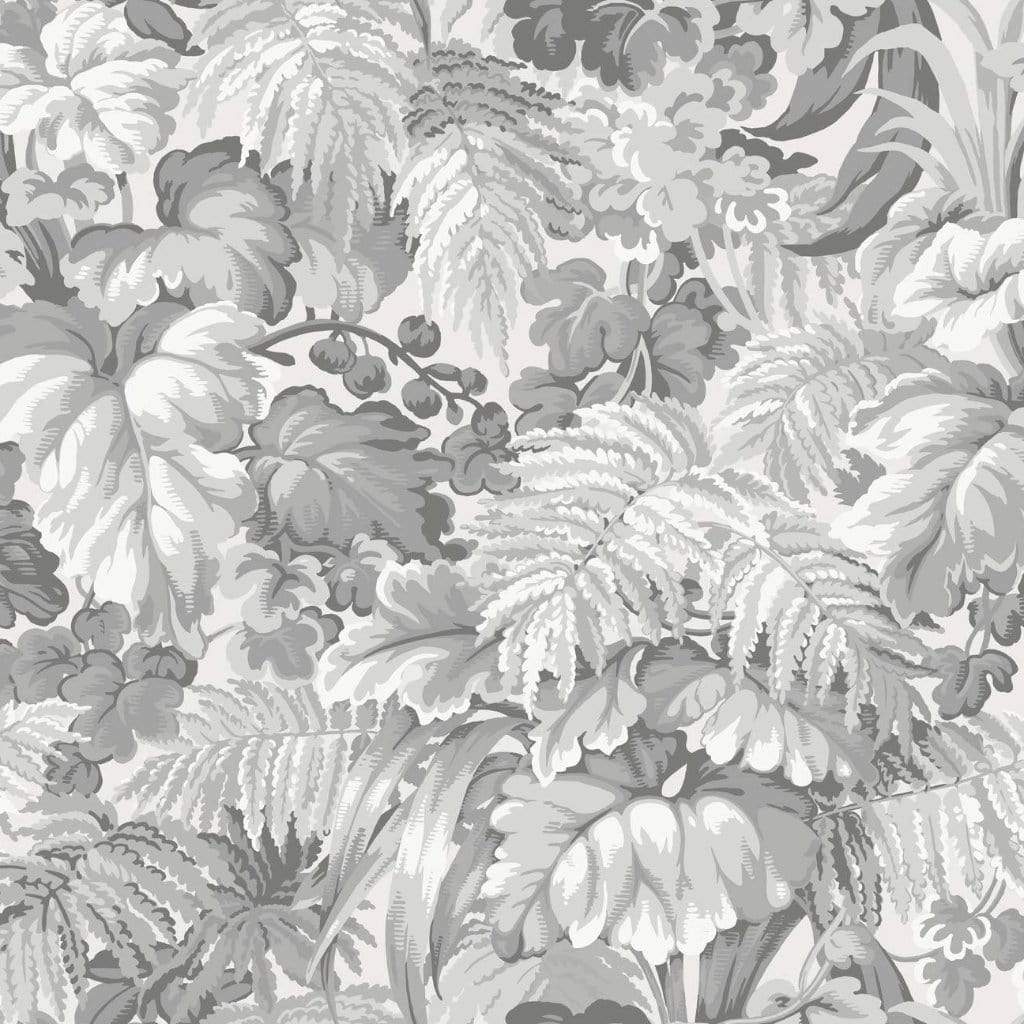 Cole & Son Martyn Lawrence Bullard Royal Fernery Wallpaper 4 Colours - Gaudion Furniture