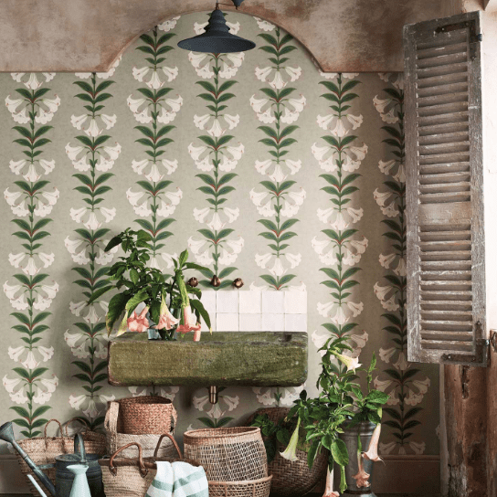 Cole & Son Seville Angel's Trumpet Wallpaper 4 Colours - Gaudion Furniture