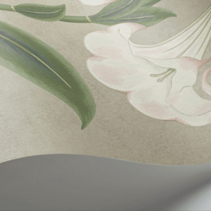 Cole & Son Seville Angel's Trumpet Wallpaper 4 Colours - Gaudion Furniture