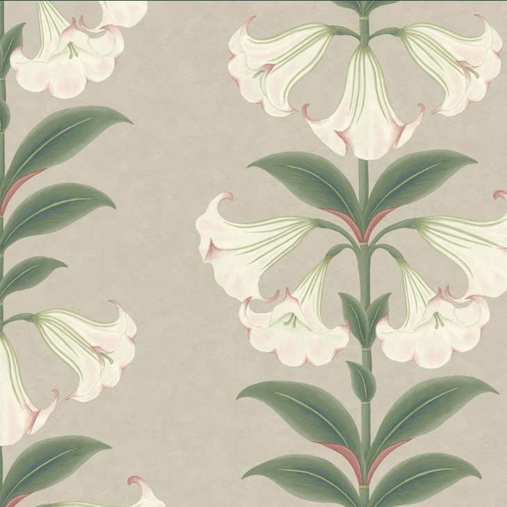 Cole & Son Seville Angel's Trumpet Wallpaper 4 Colours - Gaudion Furniture