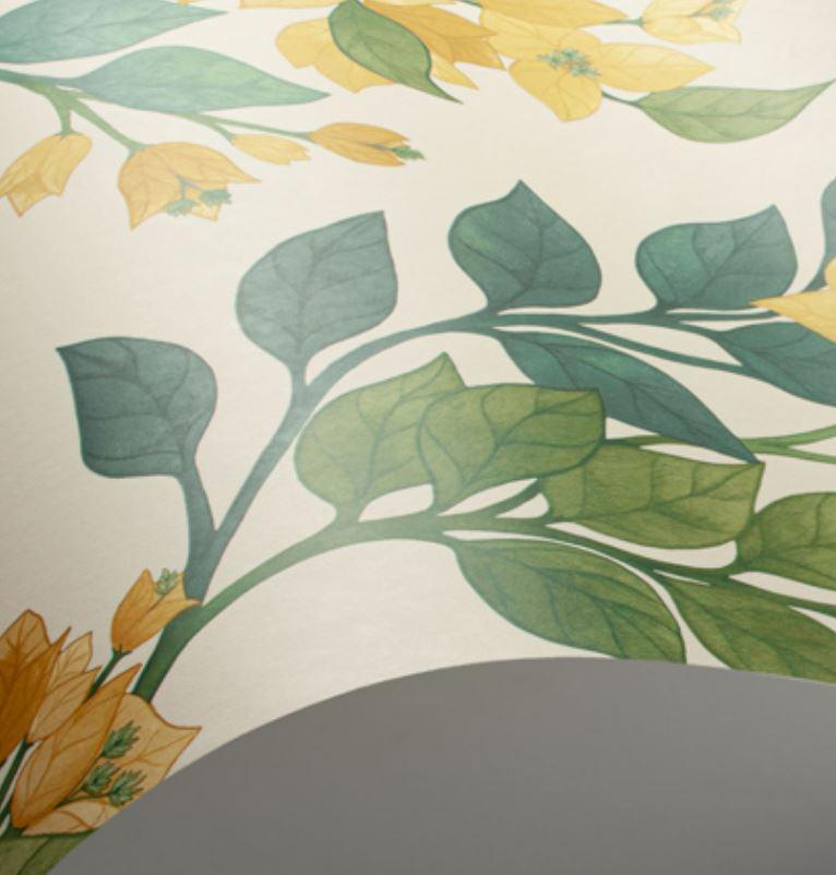 Cole & Son Seville Bouginvillea Wallpaper 4 Colours - Gaudion Furniture