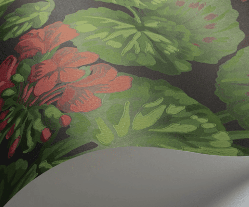 Cole & Son Seville Geranium Wallpaper 4 Colours - Gaudion Furniture