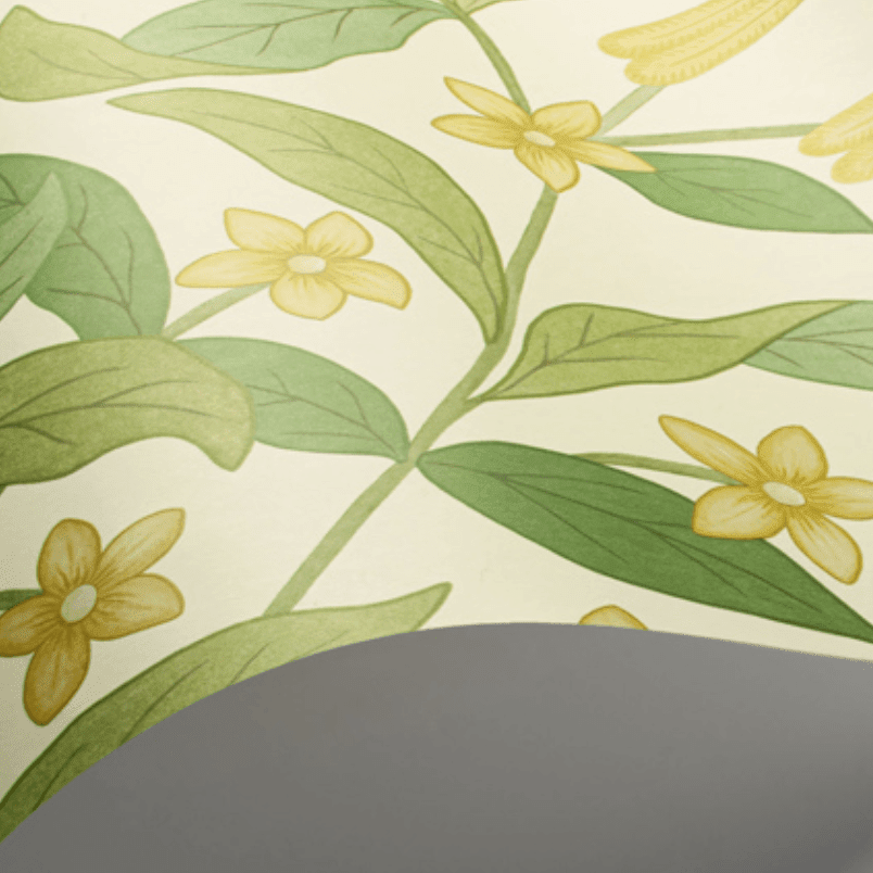 Cole & Son Seville Jasmine & Serin Symphony Wallpaper 4 Colours - Gaudion Furniture