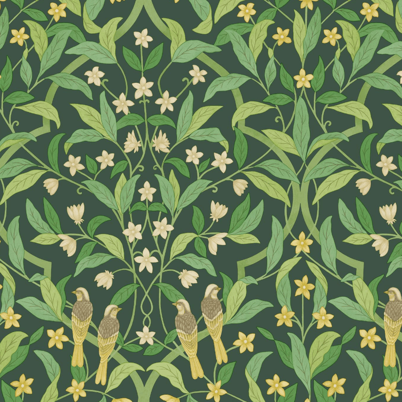 Cole & Son Seville Jasmine & Serin Symphony Wallpaper 4 Colours - Gaudion Furniture