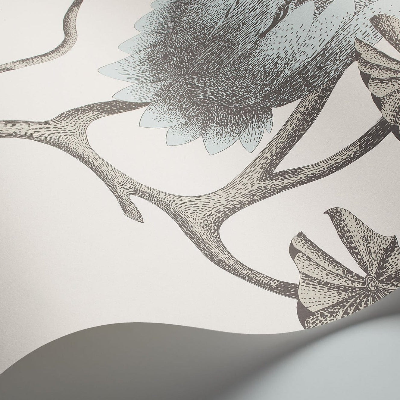 Cole & Son Summer Lily Wallpaper - Gaudion Furniture