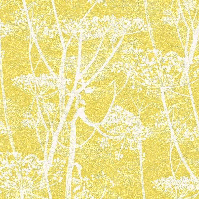 Cole & Son Wallpaper 1 x 66/7051 Cow Parsley Wallpaper Roll Cole & Son Icons Cow Parsley Wallpaper