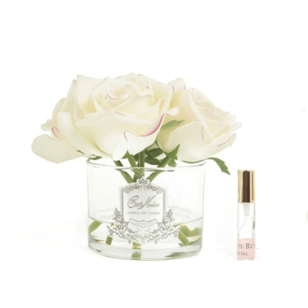 Cote Noire 5 Rose Blush Clear Glass - Gaudion Furniture