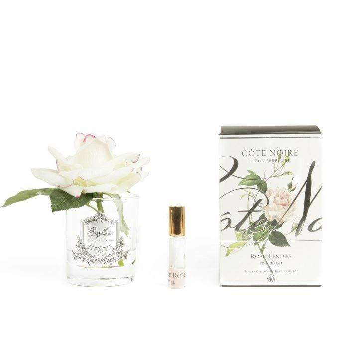 Cote Noire Single Perfumed Rose Blush Clear Vase - Gaudion Furniture