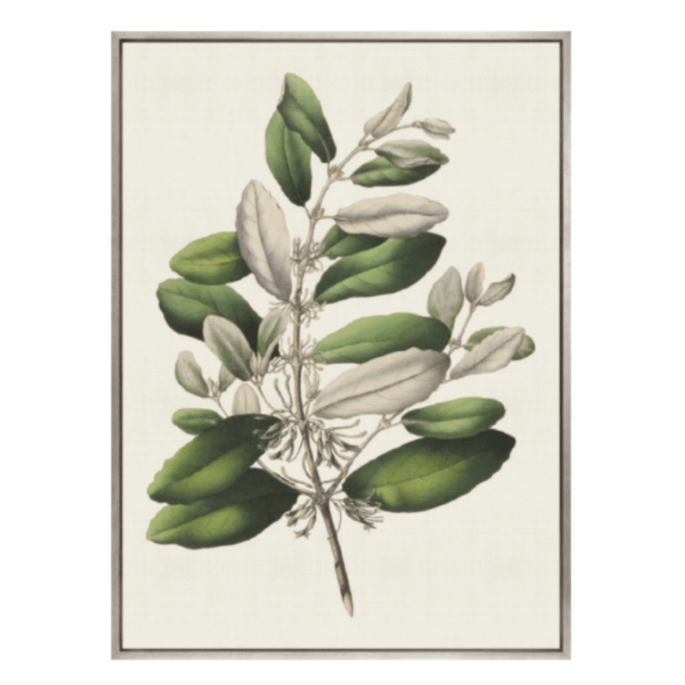 Designer Boys Botanical Bliss I - Gaudion Furniture