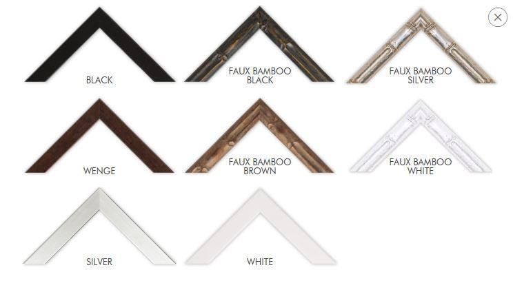 Designer Boys Pale Blue Coral I Print - Gaudion Furniture