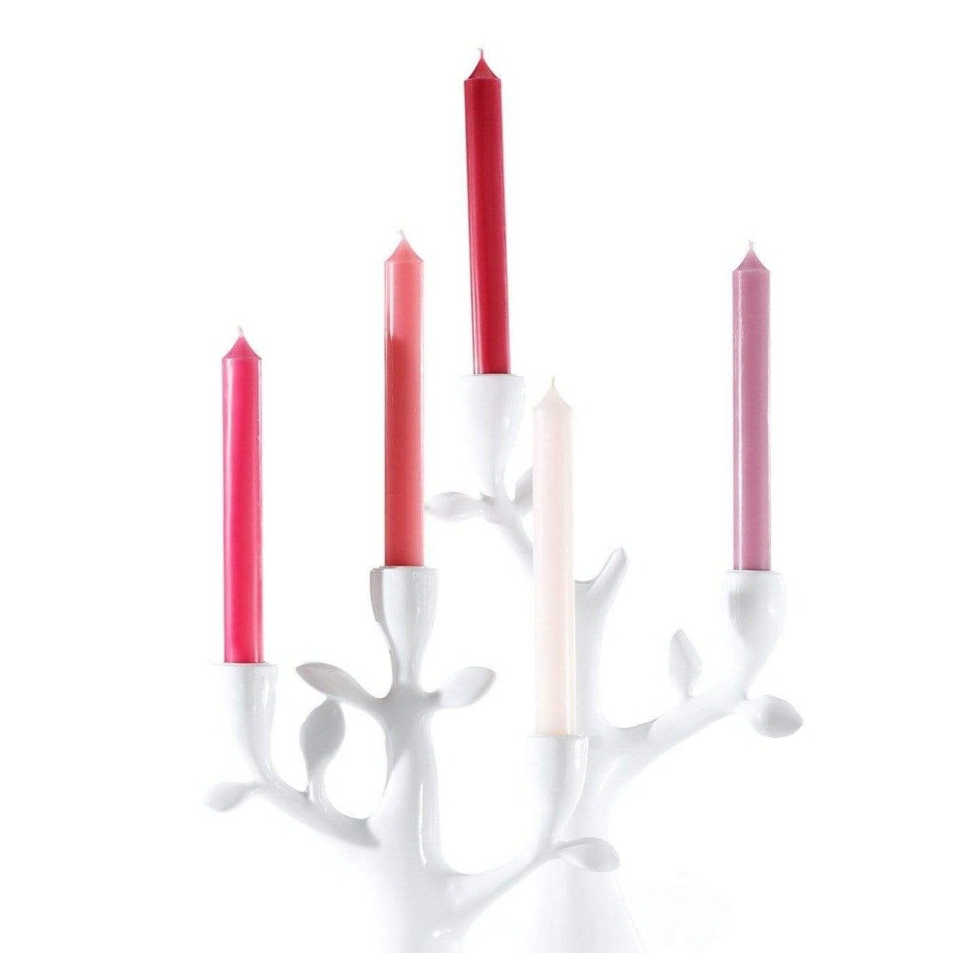 Dinner Candles by Bougies La Francaise - Gaudion Furniture