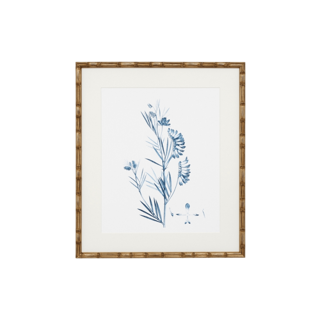 Gaudion Furniture 246 PRINT Print Blue Botanical IV