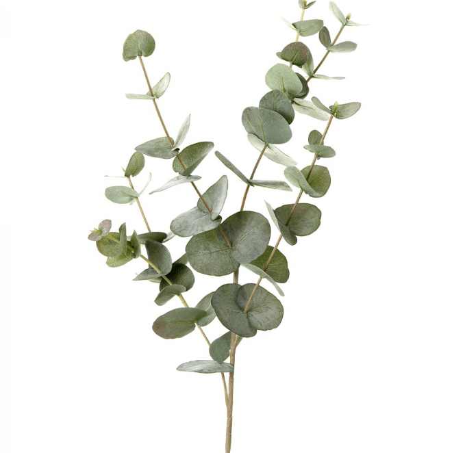 Gaudion Furniture Flowers 1 x Eucalyptus Sprig Eucalyptus Sprig