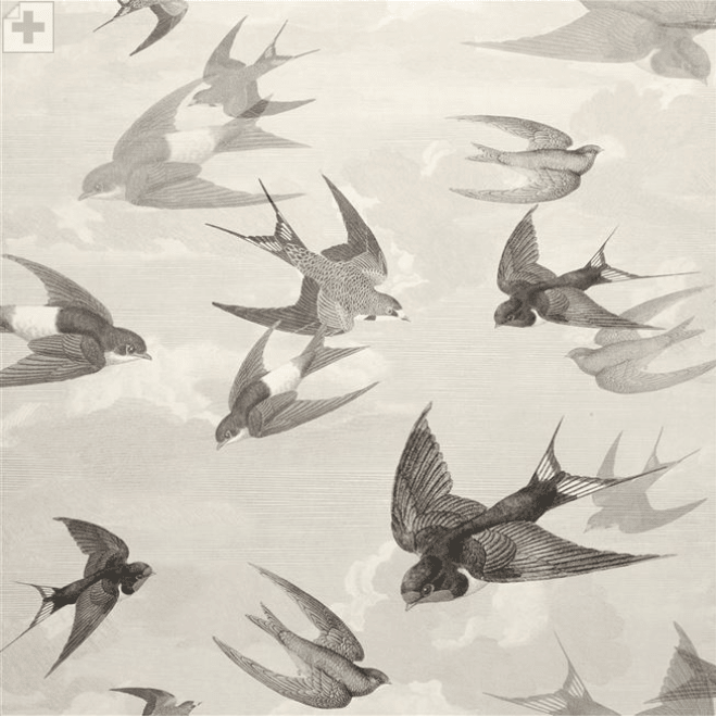 John Derian Chimney Swallows Wallpaper 4 Colours - Gaudion Furniture