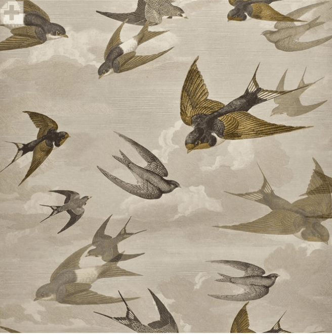 John Derian Chimney Swallows Wallpaper 4 Colours - Gaudion Furniture