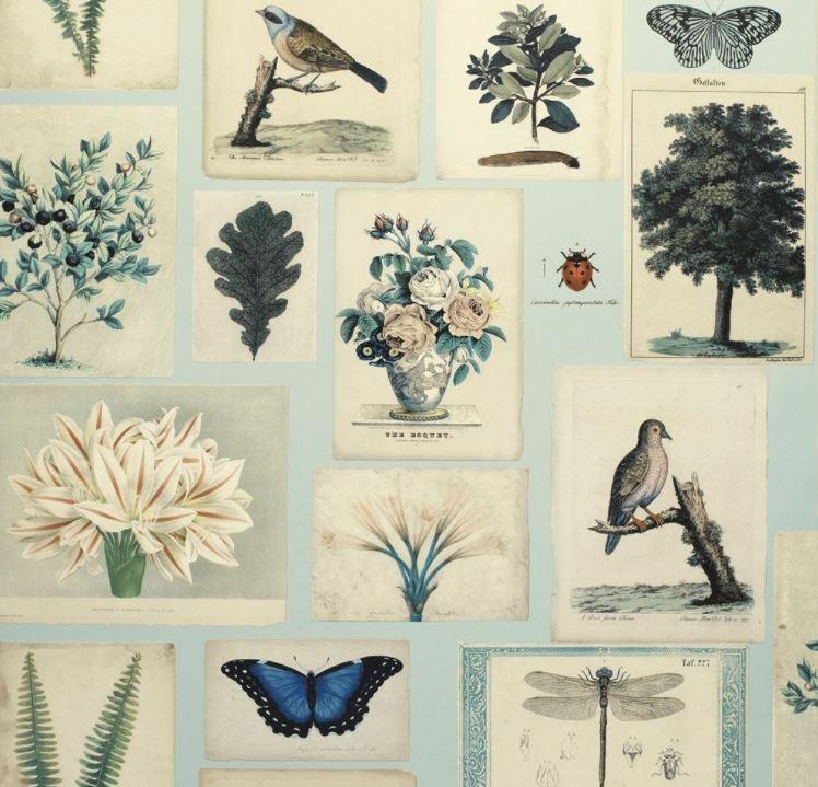 John Derian Flora & Fauna Canvas Wallpaper 3 Colours - Gaudion Furniture