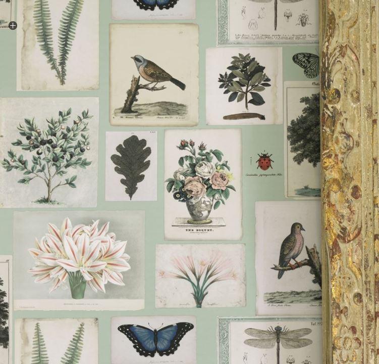 John Derian Flora & Fauna Canvas Wallpaper 3 Colours - Gaudion Furniture