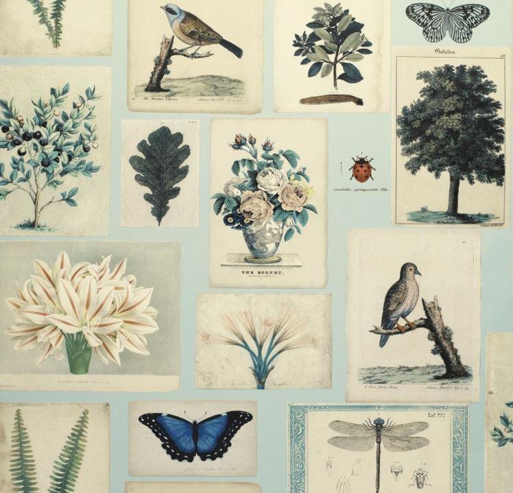 ohn Derian Flora & Fauna Canvas Wallpaper - 3 Colours