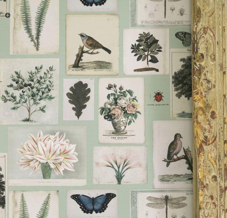 ohn Derian Flora & Fauna Canvas Wallpaper - 3 Colours