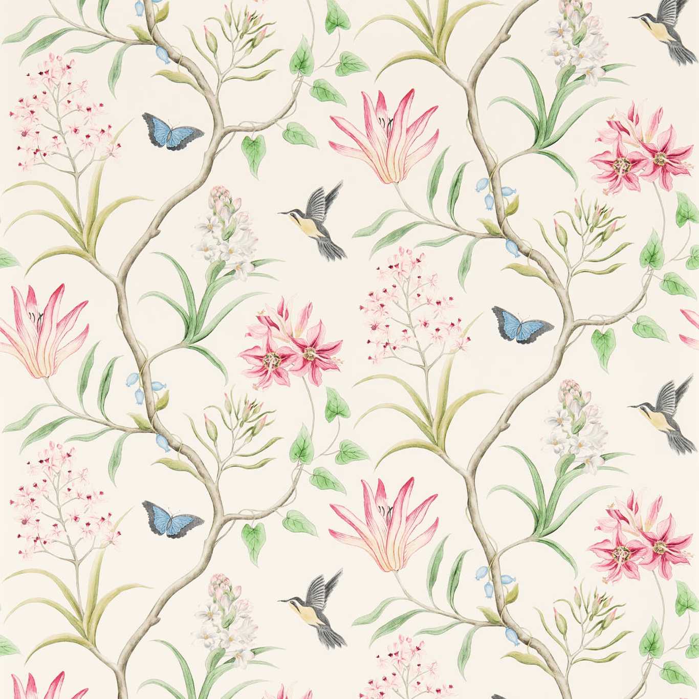 Sanderson Clementine Wallpaper 4 Colours - Gaudion Furniture