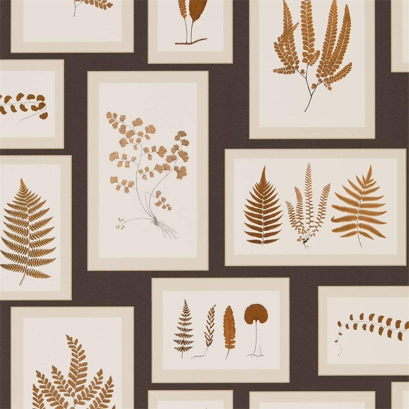 Sanderson Fern Gallery Wallpaper 4 Colours - Gaudion Furniture