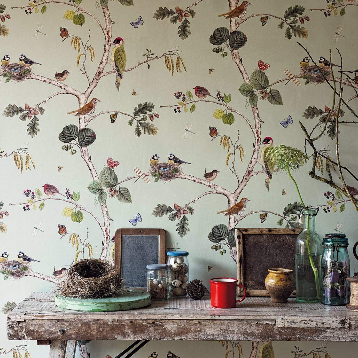 Sanderson Woodland Chorus Wallpaper 4 Colours - Gaudion Furniture