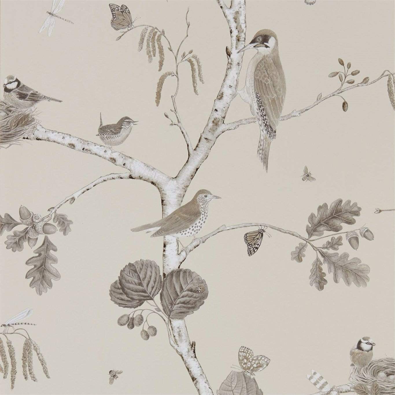 Sanderson Woodland Chorus Wallpaper 4 Colours - Gaudion Furniture
