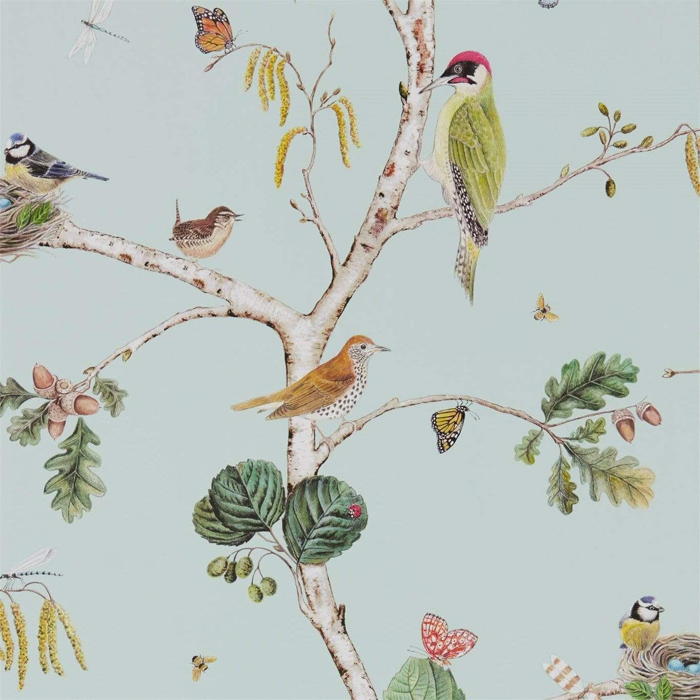 Sanderson Woodland Chorus Wallpaper 4 Colours - Gaudion Furniture