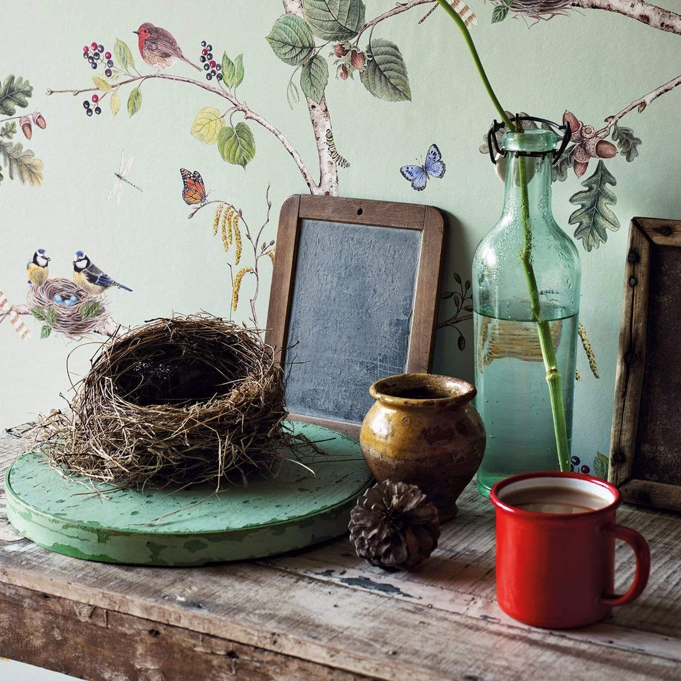 Sanderson Woodland Chorus Wallpaper 4 Colours - Gaudion Furniture