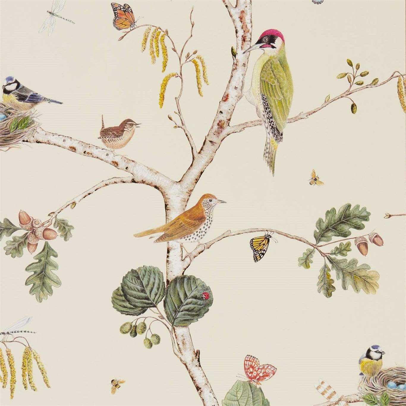 Sanderson Woodland Chorus Wallpaper 4 Colours - Gaudion Furniture